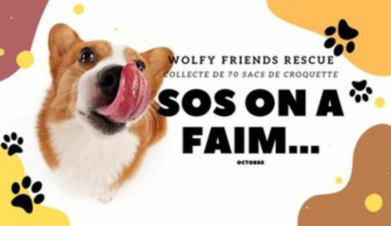 SOS - Nourrir les chiens du refuge  ( octobre )