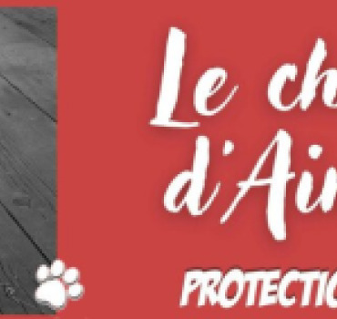 Pour les petits chiens de Protection RApprochée
