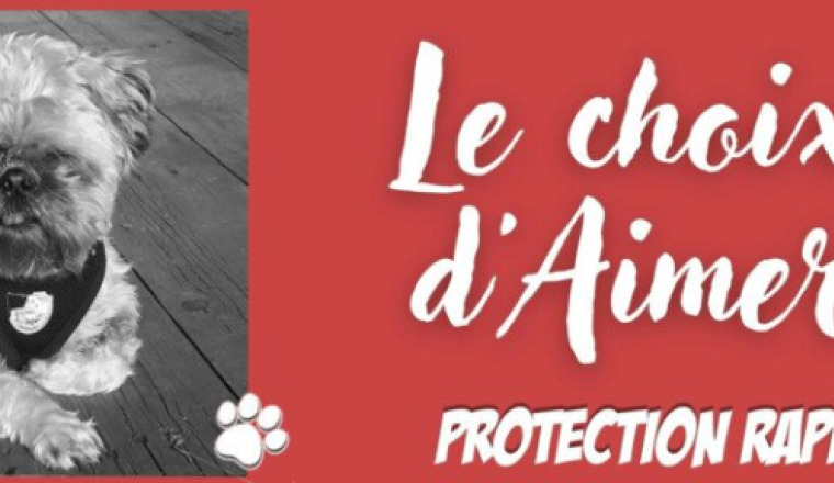Pour les petits chiens de Protection RApprochée