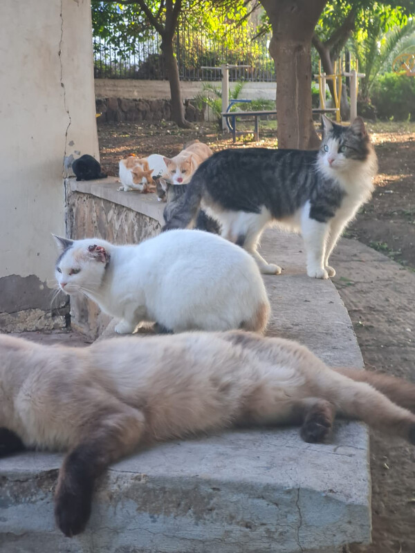 Image justificative de la cagnotte