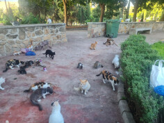 Image justificative de la cagnotte