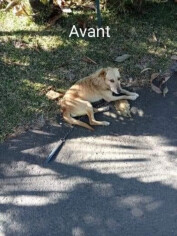 Image justificative de la cagnotte