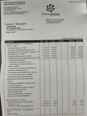 Image justificative de la cagnotte