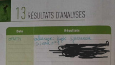Image justificative de la cagnotte