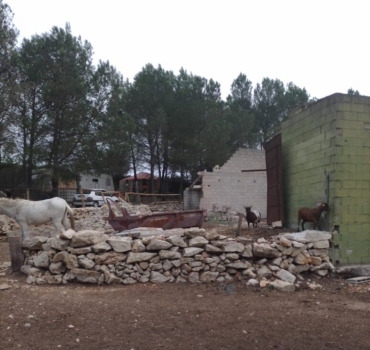 Aide pour le refuge des ânes de Jean Paul d'Ebo