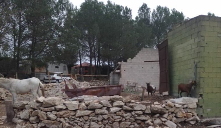 Aide pour le refuge des ânes de Jean Paul d'Ebo
