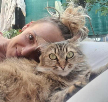 Aider ma chatte pour les frais de vétérinaire