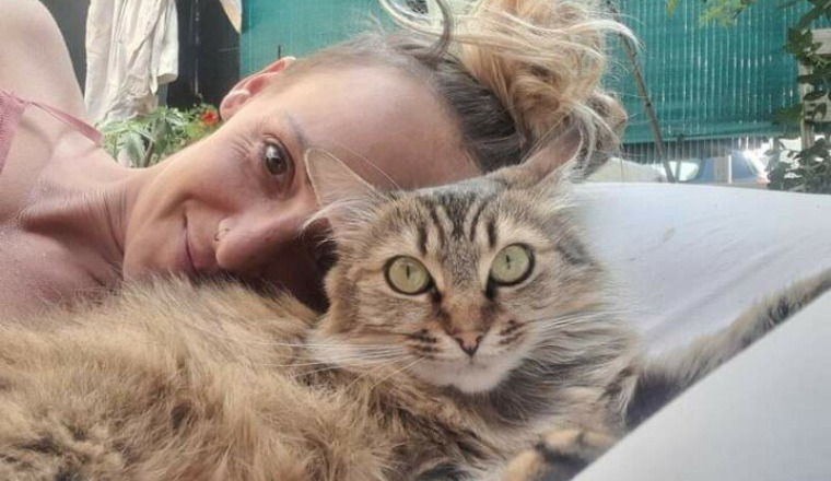 Aider ma chatte pour les frais de vétérinaire