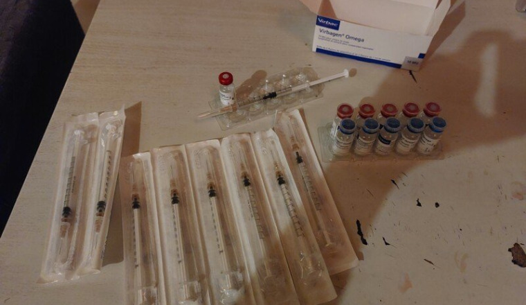 Épidémie