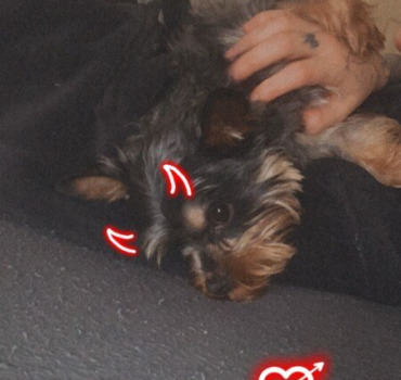 Soins pour rayko