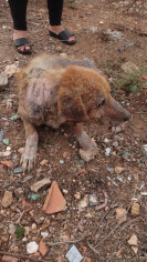 Image justificative de la cagnotte