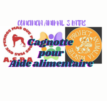 Aide Alimentaire pour chiens et chats abandonées