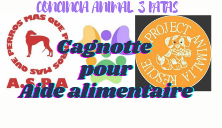 Aide Alimentaire pour chiens et chats abandonées