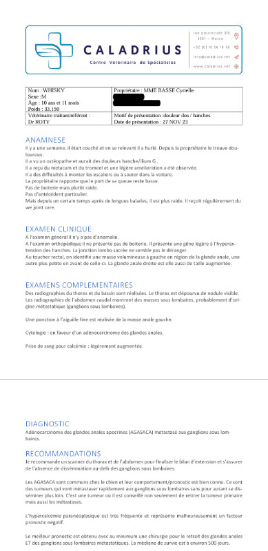 Image justificative de la cagnotte