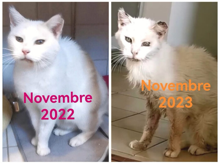 Image justificative de la cagnotte