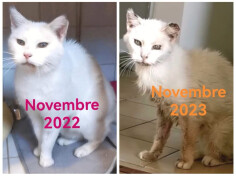 Image justificative de la cagnotte