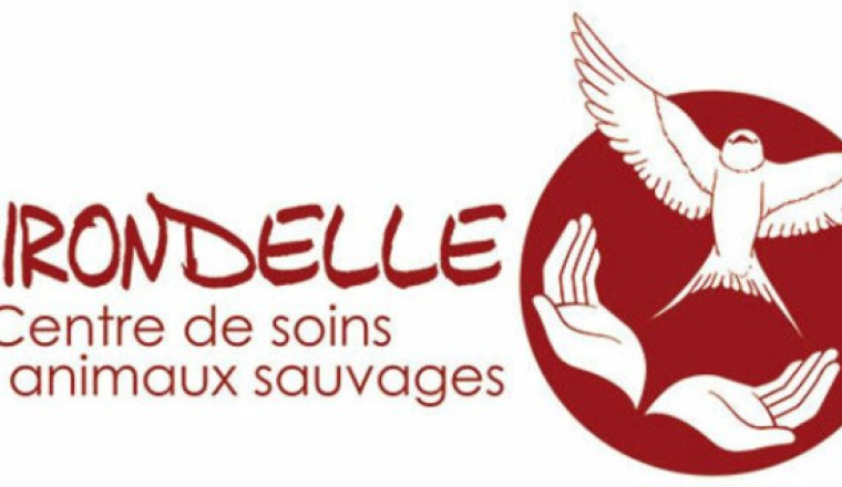 Aidons l'Hirondelle dans ses actions