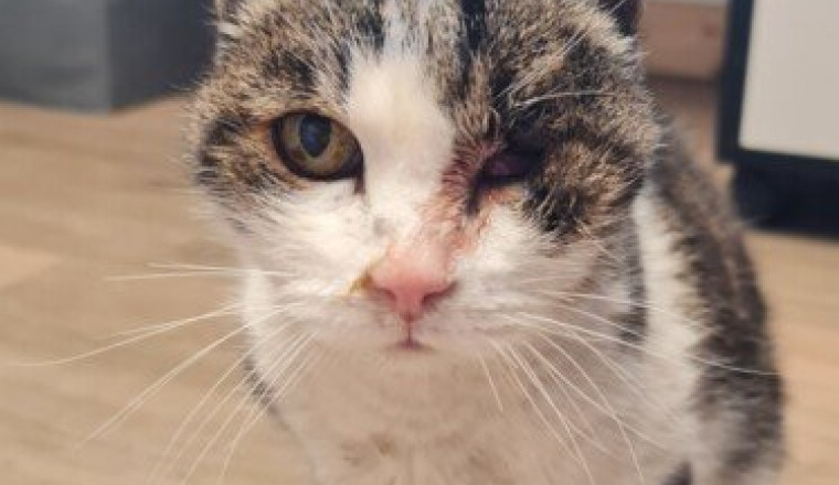 Soins urgent pour mimine