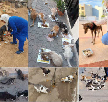 Pour nos amis les animaux du Maroc