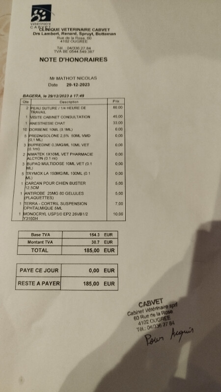 Image justificative de la cagnotte