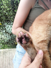Image justificative de la cagnotte