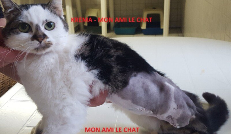KREMA A BESOIN DE VOUS POUR SES SOINS