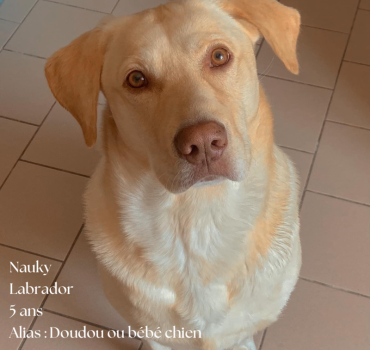 Soigner Nauky