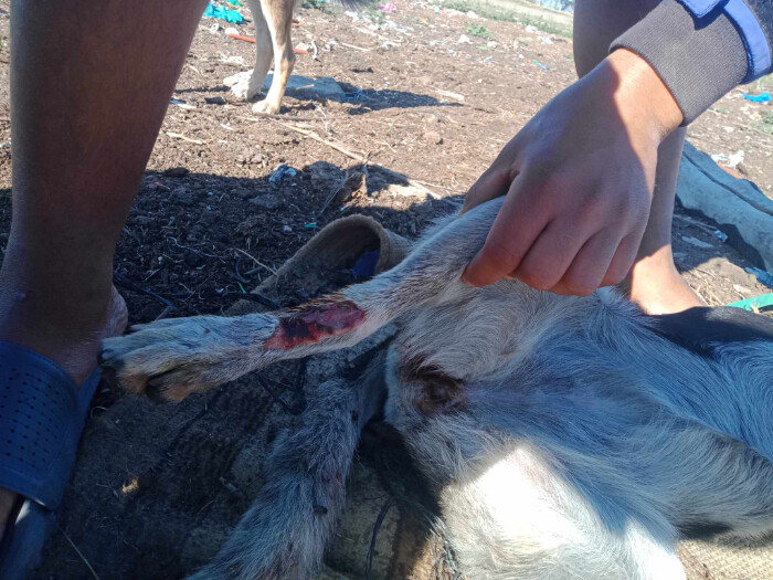 Image justificative de la cagnotte