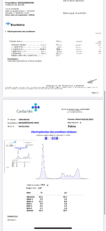 Image justificative de la cagnotte