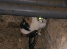 Image justificative de la cagnotte