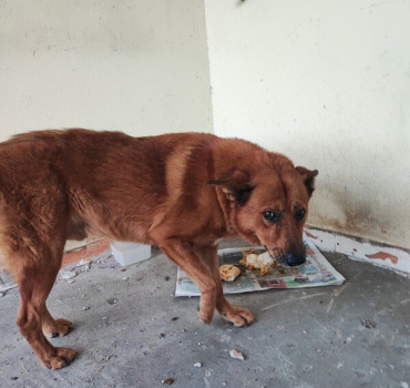 Berny abandonné à son domicile