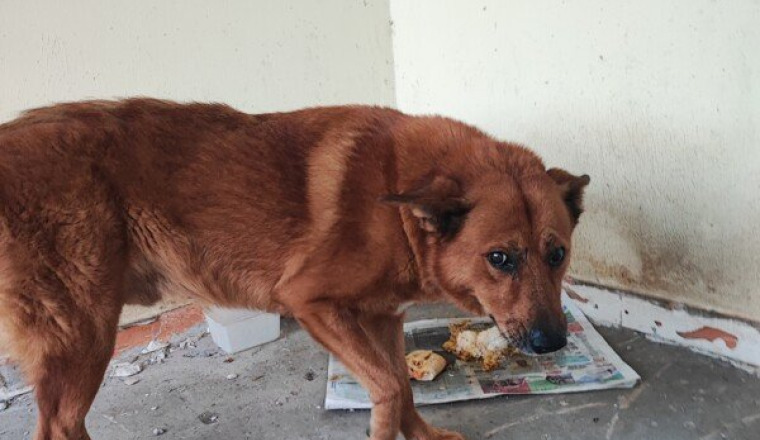Berny abandonné à son domicile