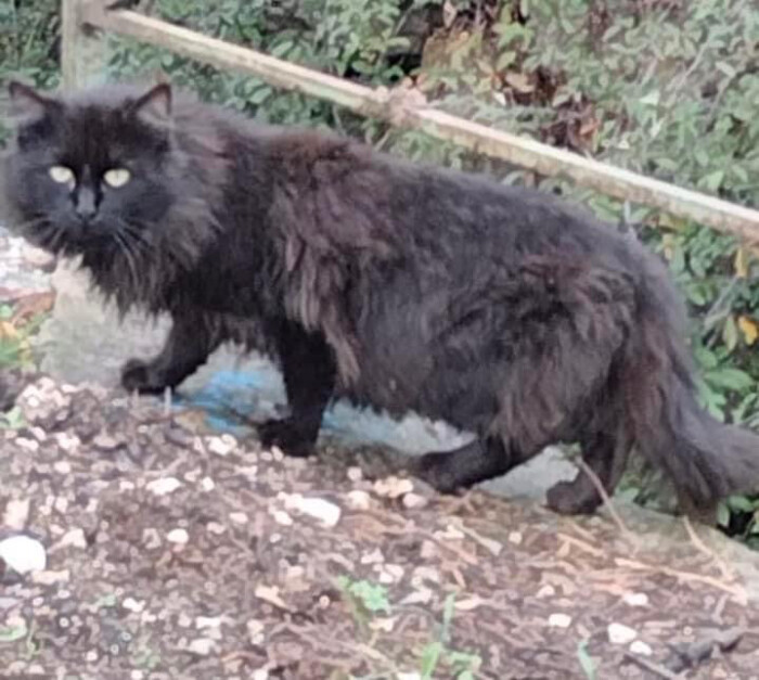 Image justificative de la cagnotte