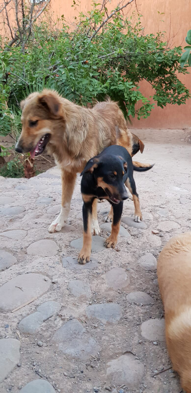 Image justificative de la cagnotte