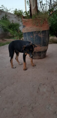 Image justificative de la cagnotte