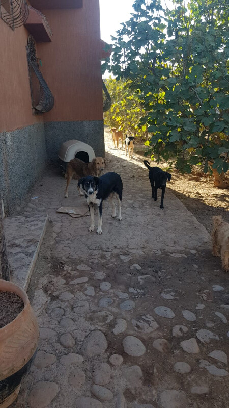 Image justificative de la cagnotte