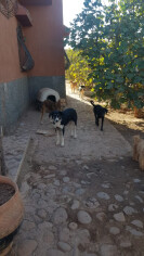 Image justificative de la cagnotte