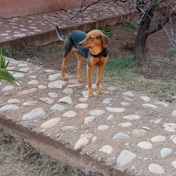 Image justificative de la cagnotte