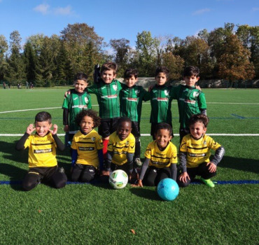 U7 As Chartreux