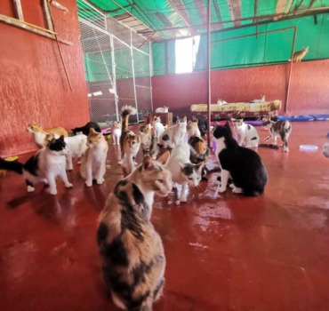 Des vies à sauver - les sauvetages d'Hajar