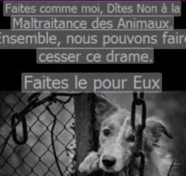 Les rescapés de l’extrême