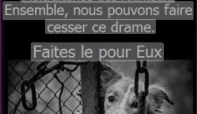 Les rescapés de l’extrême