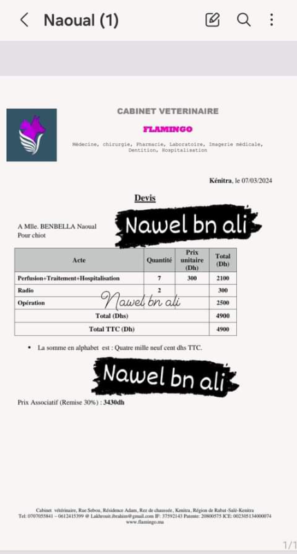 Image justificative de la cagnotte