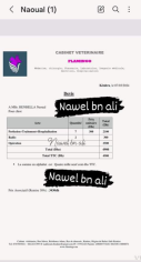 Image justificative de la cagnotte