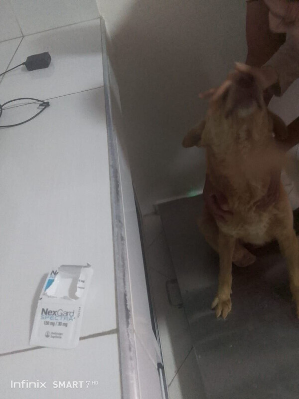 Image justificative de la cagnotte