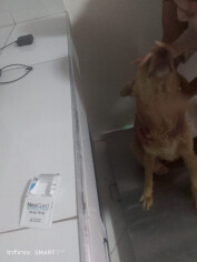 Image justificative de la cagnotte