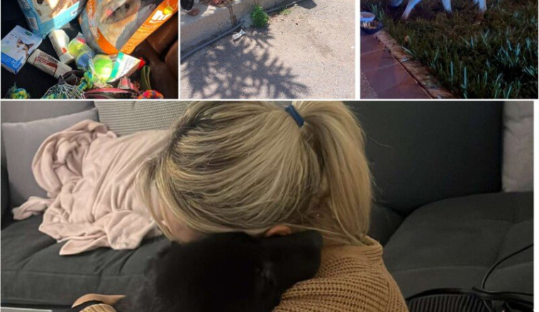 Pour les animaux errants de Saidia & alentours