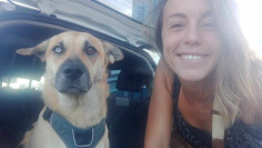 Image justificative de la cagnotte