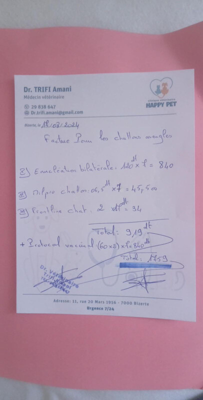 Image justificative de la cagnotte