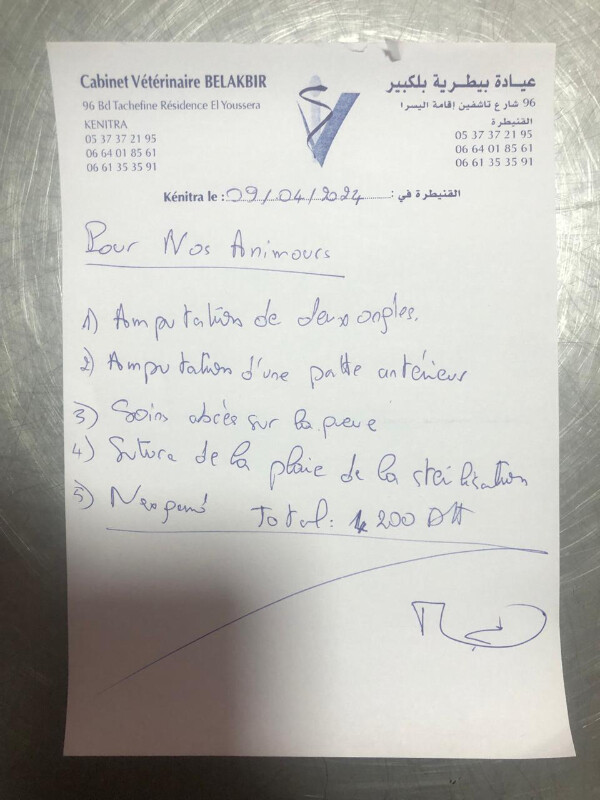 Image justificative de la cagnotte